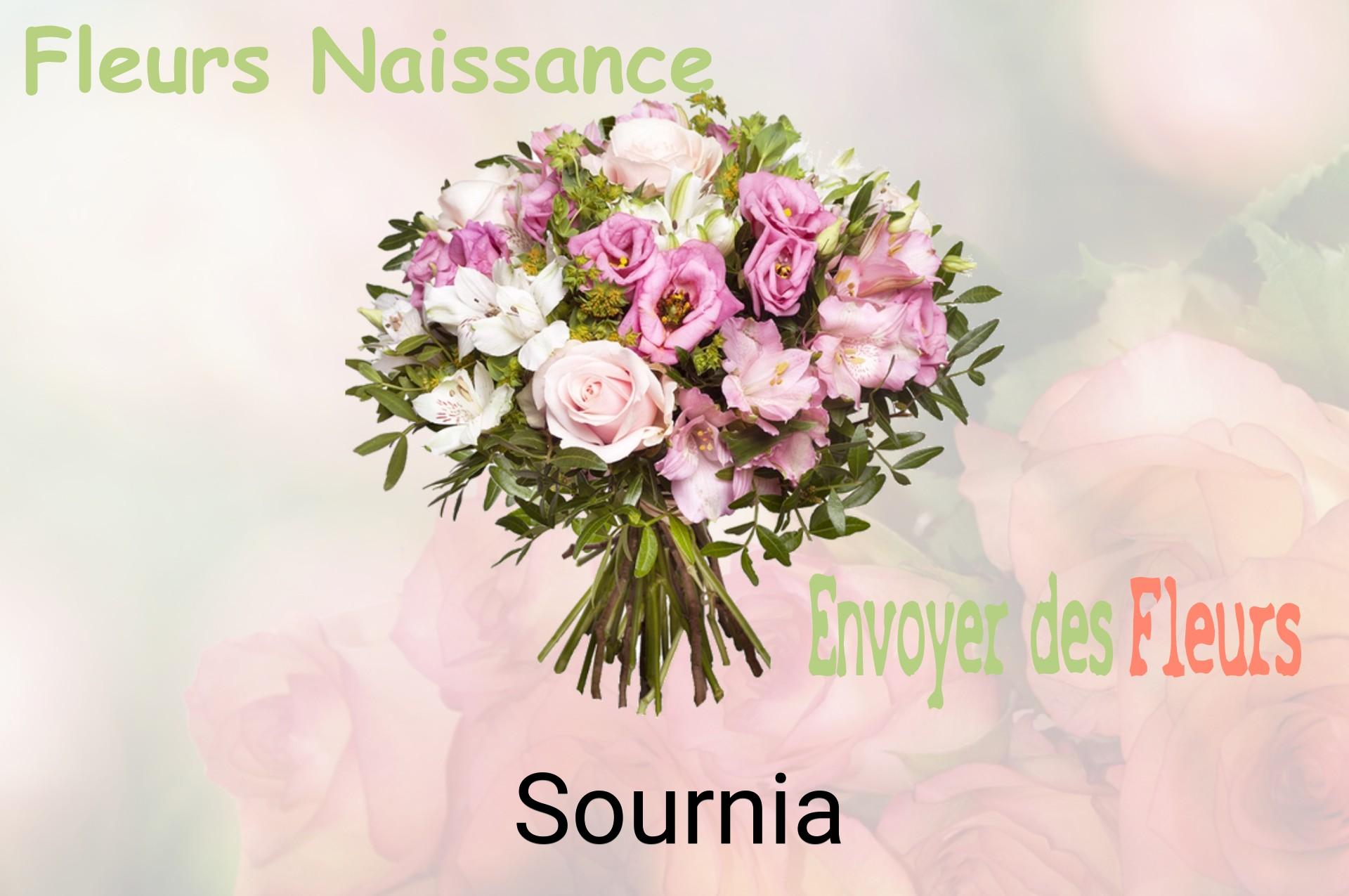 Bouquet de fleurs de naissance livré à Sournia