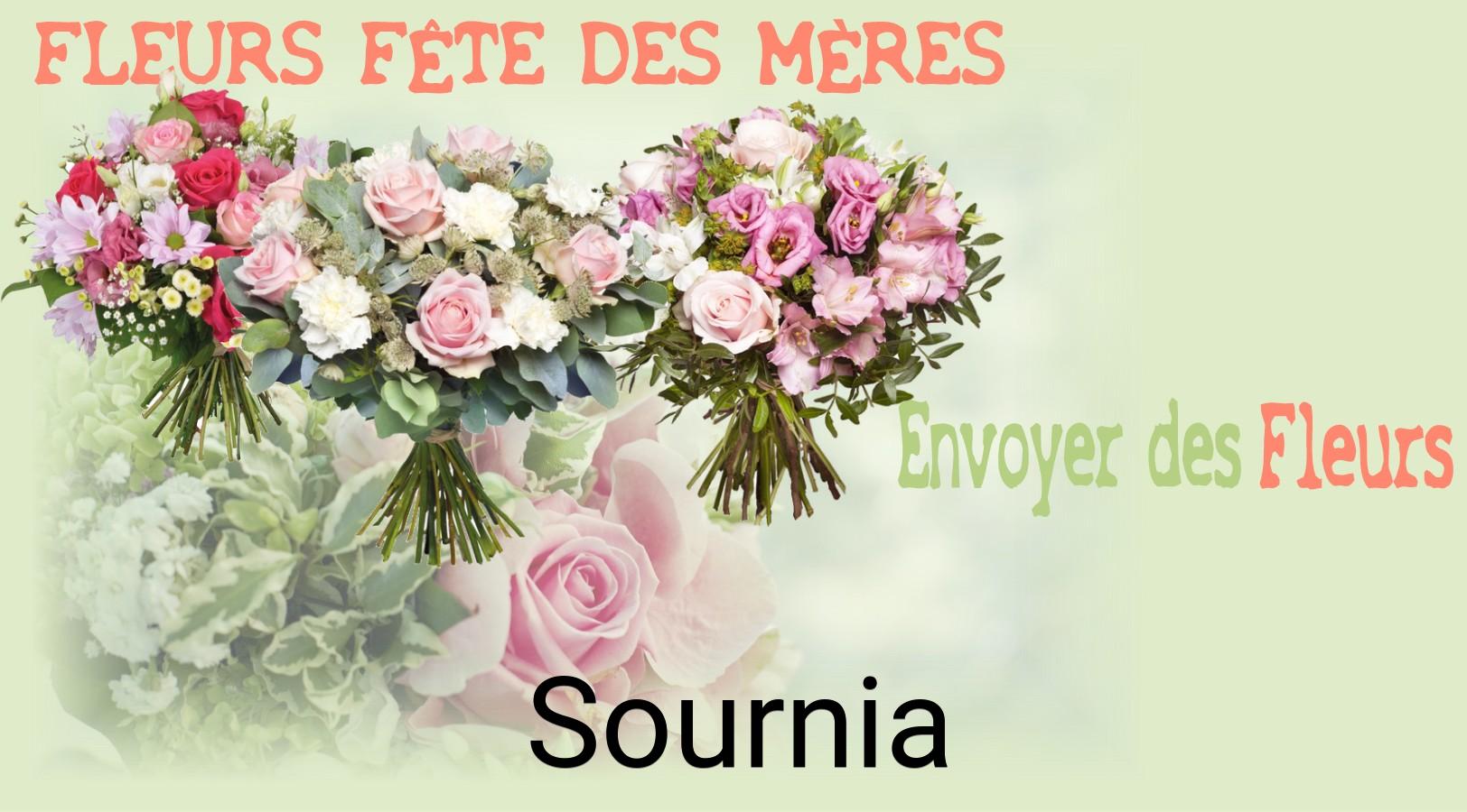 Bouquet de Fête des Mères livré à Sournia